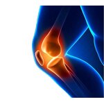 MSM Powder - Factory Bulk Price Methyl Sulfonyl Methane Crystal