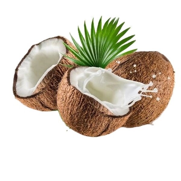 Coconut Milk Powder - 100% Pure Natural Low Fat Bulk Powder