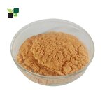 Amla Extract Powder - Factory Price Hair Growth Supplement Powder