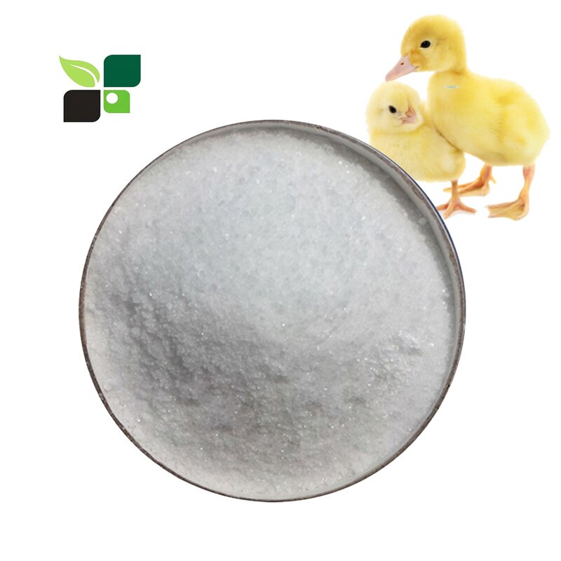 L-Lysine HCL Powder - Factory Price 98.5% Feed Grade Amino Acid