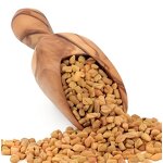 Fenugreek Seed Extract - Bulk Price Natural Fenugreek Powder Supplement