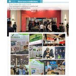 Moringa Seed Extract - Kosher Halal Organic Leaf Powder OEM ODM Capsules