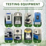 Orange Powder - High Quality Food Grade Freeze Dried Juice Extract No Additives