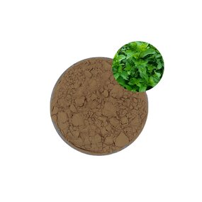 Peppermint Extract Powder - Hot Sale Natural Pure Mint Leaf Powder