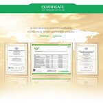 Fenugreek Seed Extract - Bulk Price Natural Fenugreek Powder Supplement