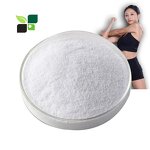 BCAA Powder - Best Price Bulk Protein Pre Workout Healthcare Supplement