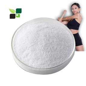 BCAA Powder - Best Price Bulk Protein Pre Workout Healthcare Supplement