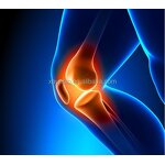 Glucosamine Sulfate Powder - Healthife Potassium Chloride D-Glucosamine