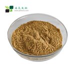 Amla Fruit Powder - 100% Pure Food Grade Solvent Extracted Juice Powder
