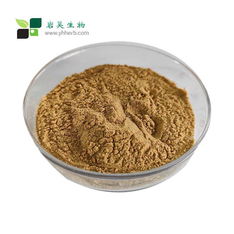 Amla Fruit Powder - 100% Pure Food Grade Solvent Extracted Juice Powder