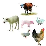 DL Methionine Powder - Bulk Sale Feed Grade for Poultry Supplement