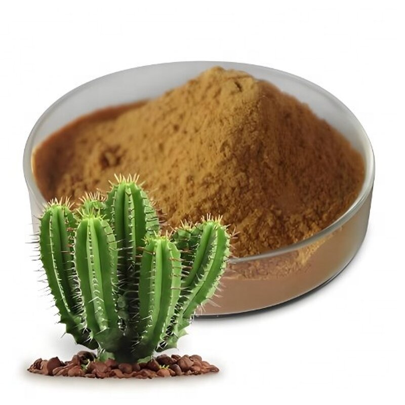 Cactus Extract Powder - Bulk Supply 10:1 Natural Cactus Powder