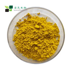 Berberine Hydrochloride Powder - Herbal Phellodendron Bark Extract Food Supplement