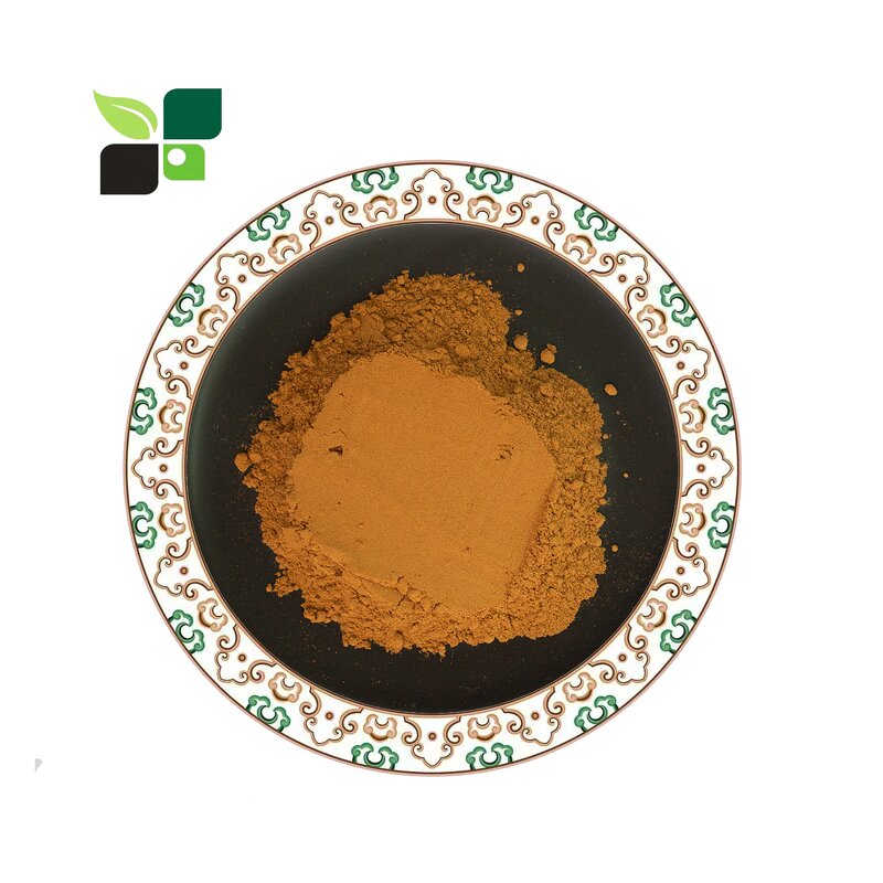 Rehmannia Root Extract - High Quality Rehmannia Glutinosa Powder