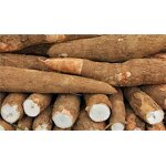 Cassava Residue Granular Fertilizer Manufacturer - Organic Base for Agriculture