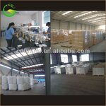 Soil Conditioner Manufacturer - Agriculture Products Organic Granular Fertilizer