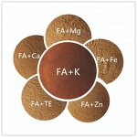Potassium Humate Fertilizer Manufacturer - Agriculture Product Organic Humic Acid Fulvic Acid