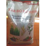 Humic Acid Granular Fertilizer Manufacturer - Pure Organic Soil Conditioners for Plants