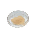 Fish Protein Amino Acid Powder Manufacturer - Hot Selling Organic Hydrolyzed Vegetable Plant Source Good Price