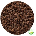 Humic Acid Granular Fertilizer Manufacturer - Pure Organic Soil Conditioners for Plants