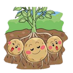 Bio Bacteria Fertilizer Manufacturer - 100% Organic Granular for Root