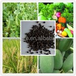 Amino Acid Seaweed Extract Fertilizer Manufacturer - Chinese Factory Granular Organic