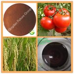 Fulvic Acid Powder Fertilizer Manufacturer - Agricultural Organic Bio Eco-Friendly Specific
