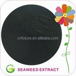 Seaweed Extract Powder Manufacturer - 100% Organic Fertilizer