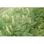 Organic Pesticide Manufacturer - Pesticides Insecticide