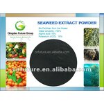 Seaweed Extract Powder Manufacturer - 100% Organic Fertilizer