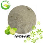Amino Acid Powder Manufacturer - QFG HOT 50%-80% Bulk Organic Fertilizer