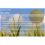 Amino Acid Fertilizer Manufacturer - Animal & Vegetable Plant Source