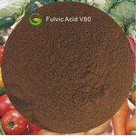 Fulvic Acid Powder Manufacturer - Organic Fertiliser for Agriculture