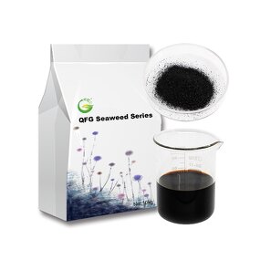 Seaweed Extract Powder Manufacturer - 100% Organicsargassum Agricultural Fertilizer