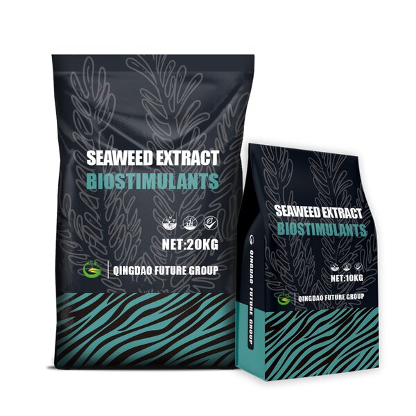 Seaweed Extract Powder Manufacturer - Pure Organic for Agricultural Use