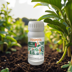 Water Soluble Fertilizer Manufacturer - High Phosphorus Potassium with Trace Elements for Fruit Trees Vegetables