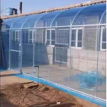 Greenhouse PE Film Manufacturer - Custom PO Large Single Layer UV 200-250 Microns Square Pattern