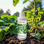 Amino Acid Fertilizer Manufacturer - ROSIA Free Kelp Foliar Spray Organic Plant Liquid