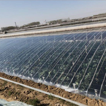 Greenhouse Plastic Cloth Manufacturer - Large Transparent PE PO Agricultural Single Layer Fogging Flow Drip