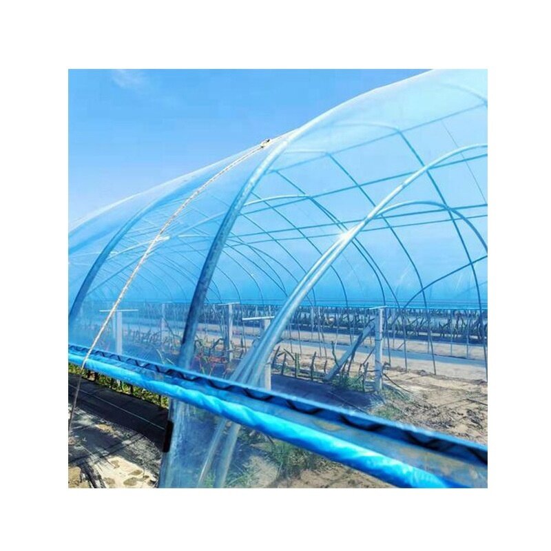 Greenhouse Plastic Cloth Manufacturer - Large Transparent PE PO Agricultural Single Layer Fogging Flow Drip