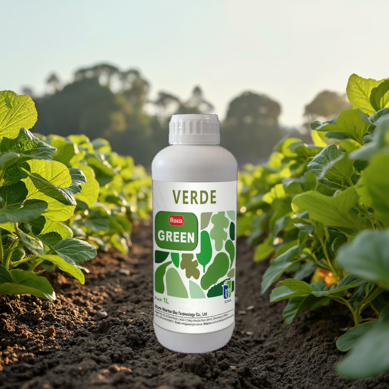 Green Leaves Fertilizer Manufacturer - ROSIA Indoor Plant Amino Acid Organic 100% Purity