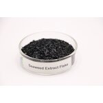 Seaweed Fertilizer Powder Manufacturer - Long-release Organic Rapid Rooting