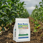 Seaweed Fertilizer Powder Manufacturer - Long-release Organic Rapid Rooting