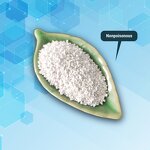 SDIC Tablets - Shellight 56%-60% High-Effective Sodium Dichloroisocyanurate Agent