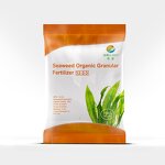 Seaweed Granular Fertilizer - Organic Shiny Black Slow Release Type for Agriculture