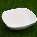 Chitosan Powder - Organic Water Soluble Crab Shell Intermediate for Agriculture