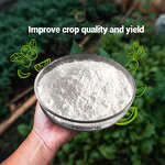 6-Benzylaminopurine BA - Shellight 98% TC PGR Promotes Plant Germination