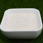 Chitosan Powder - Organic Water Soluble Crab Shell Intermediate for Agriculture