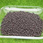 Amino Acid Granular Fertilizer - Organic Shiny Plant Source Slow Release Balls