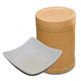 Chitosan Hydrochloride HCl - Shellight Organic Quick Release Agriculture White Powder